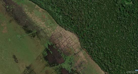 Un sistema de riego supuso una revolución en la Amazonia precolombina un-sistema-de-riego-supuso-una-revolucion-en-la-amazonia-precolombina