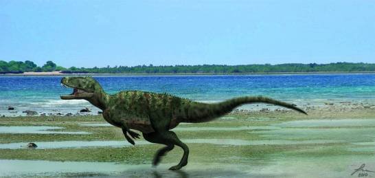 Plantas fósiles revelan los ambientes de los dinosaurios hace 100 millones de años plantas-fosiles-revelan-los-ambientes-de-los-dinosaurios-hace-100-millones-de-anos