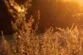 horas-de-sol-menos-daninas:-significado,-horarios-adecuados-y-como-afectan-a-la-salud