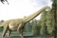 restos-de-intestino-de-un-dinosaurio-sauropodo-muestran-que-apenas-masticaba-al-comer