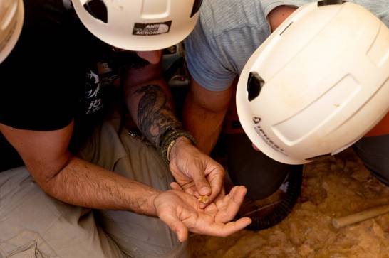 Categorías atapuerca-revela-nuevas-evidencias-de-canibalismo-en-los-restos-de-un-nino