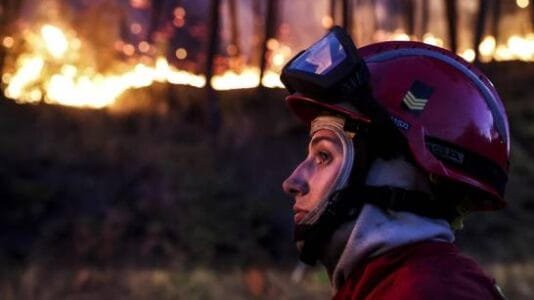 Inicio la-frecuencia-y-el-coste-de-los-incendios-forestales-se-disparan-en-cuatro-decadas