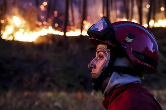 la-frecuencia-y-el-coste-de-los-incendios-forestales-se-disparan-en-cuatro-decadas
