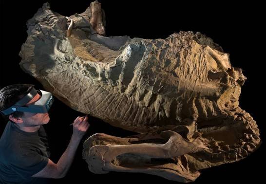 las-‘momias’-de-hadrosaurio-son-en-realidad-moldes-de-arcilla-creados-por-microbios