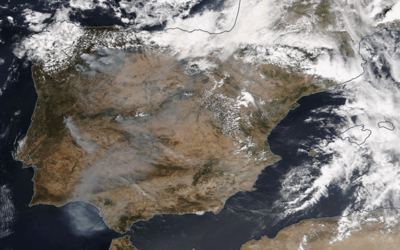 informe-operativo-semanal-del-18-al-24-de-agosto-de-2025