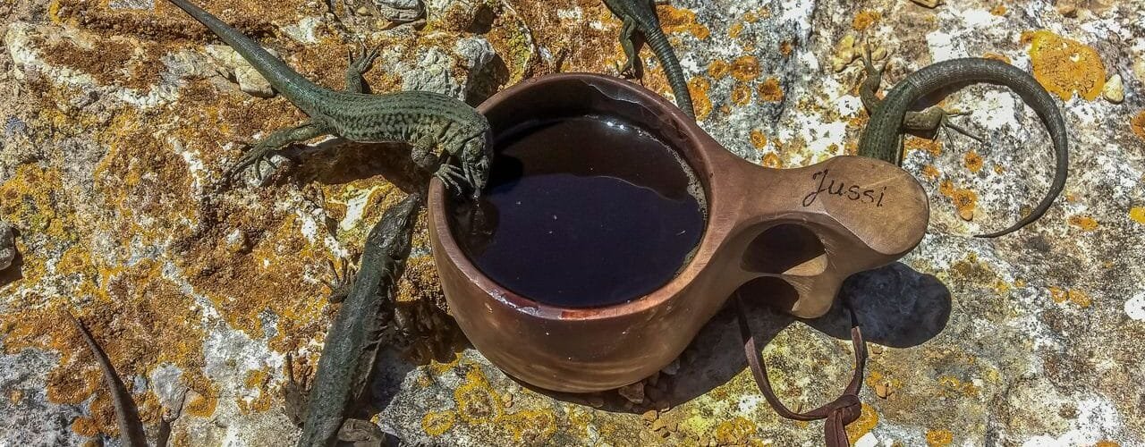 que-es-el-‘efecto-oasis’-menorquin-y-por-que-protege-a-especies-en-declive-en-europa