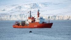 La hierba que alivia el dolor, es antiinflamatoria y está en todas las cocinas los-compuestos-‘quimicos-eternos’-se-acumulan-en-las-aguas-de-la-antartida