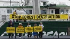 La hierba que alivia el dolor, es antiinflamatoria y está en todas las cocinas cop30-de-brasil:-una-cumbre-incierta,-pero-imprescindible-para-la-accion-climatica