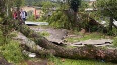 temporal-en-misiones-deja-graves-destrozos:-alerta-y-balance-de-danos