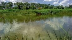 El calentamiento global aumentará los cambios repentinos de temperatura en todo el mundo detectan-mas-de-40-contaminantes-del-trafico-en-la-cuenca-del-tajo