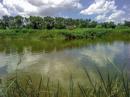 detectan-mas-de-40-contaminantes-del-trafico-en-la-cuenca-del-tajo